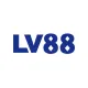 lv88msrimdeasw