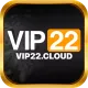 vip22cloud