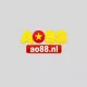 Nhà cái ao88