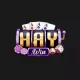 shaywincom