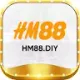 hm88diy