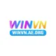 WINVN