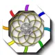 Future multiverse