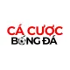 Cacuocbongda10 Com