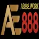 AE888 WORK