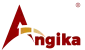 Domain Registration & Hosting Services Bangalore | Angika Technologies - Product listing design
