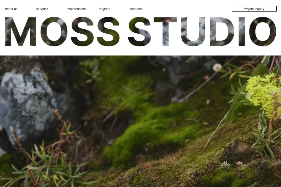 MOSS STUDIO - Landing design