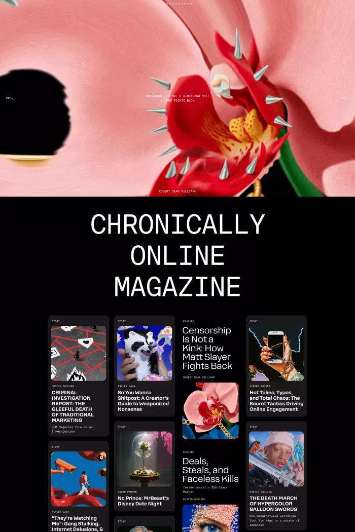 Screenshot taken from Chronically Online Magazine