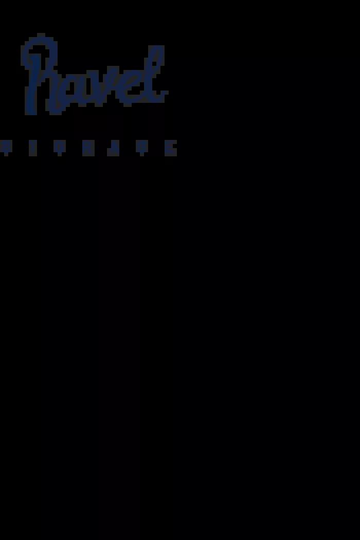 Screenshot taken from Leading Self Storage Services in Abu Dhabi - RavelStorage