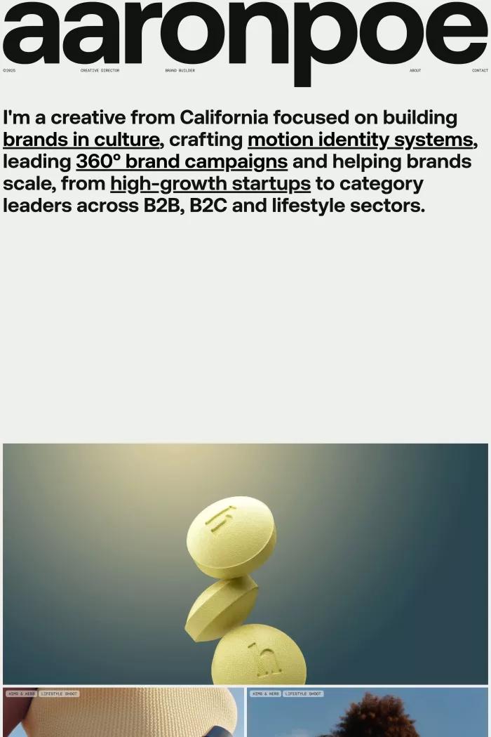 Screenshot taken from Aaron Poe & Co.